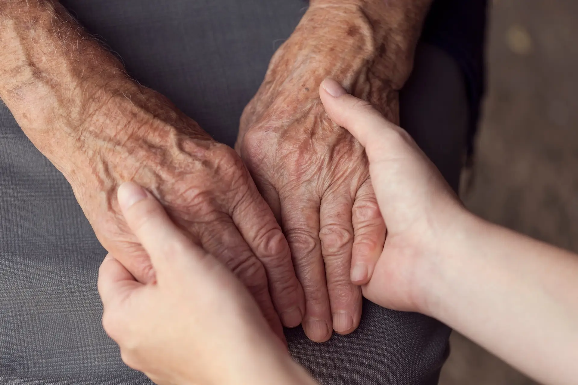 Aged Care